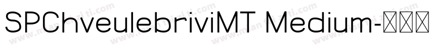 SPChveulebriviMT Medium字体转换